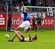 Störche im Höhenflug  Fotos: Ole Sindt