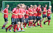 Die Störche beim Training.