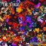 The Coral  &ndash; Butterfly House