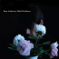 Brett Anderson  &ndash; Black Rainbows
