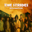 The Strides &ndash; Reclamation