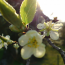 Heißa! &ndash; Wir begrüßen den Frühling