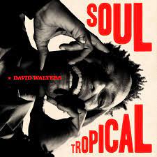 David Walters – Soul Tropical