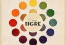 C´mon Tigre – Instrumenta Ensemble – Soundtrack for Imaginary Movie Vol.1