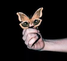 Soulwax – All System Are Lying