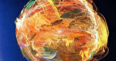 Woods of Birnam – Solaris
